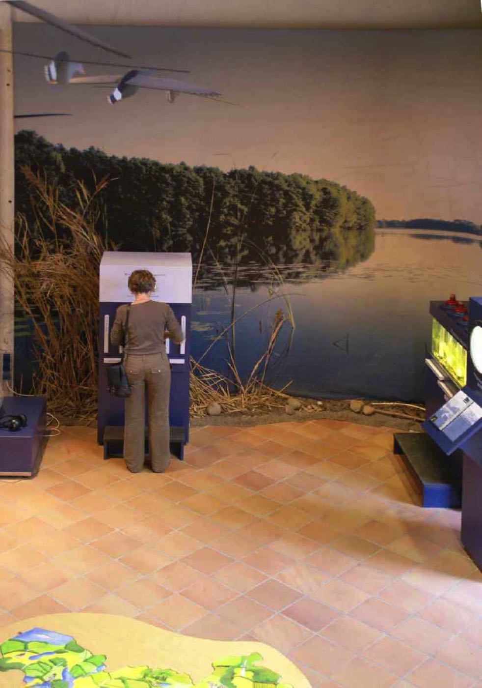 DSC00714 Kopie 1100 1400 redu