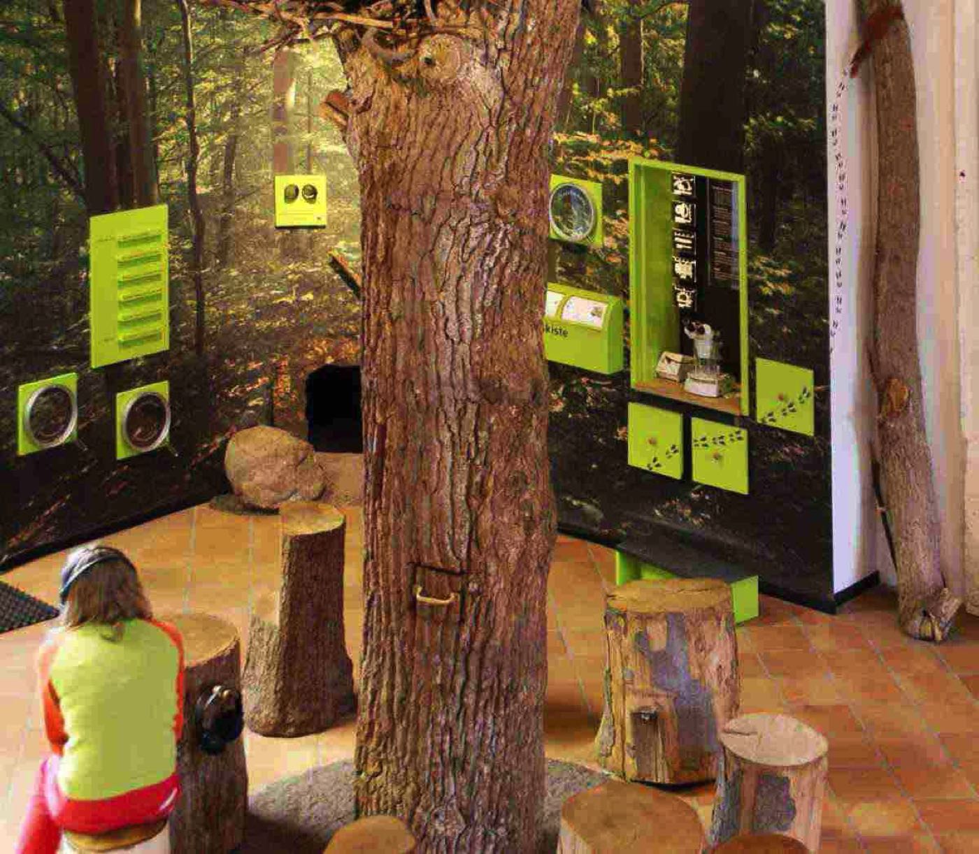 DSC00719 Kopie 1300  30 redu